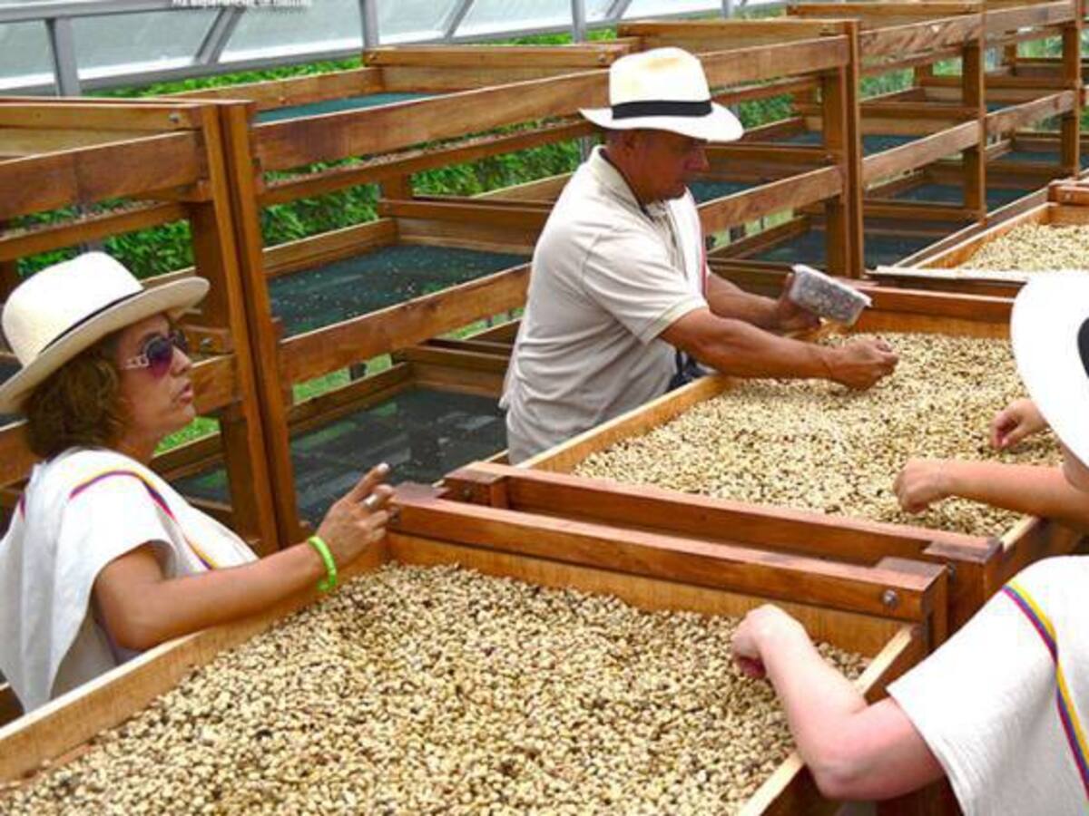 Duro enfrentamiento entre la Minagricultura y Comité de Cafeteros
