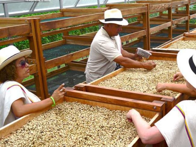 Ya están comprando la carga de café por encima del millón de pesos en todo el país