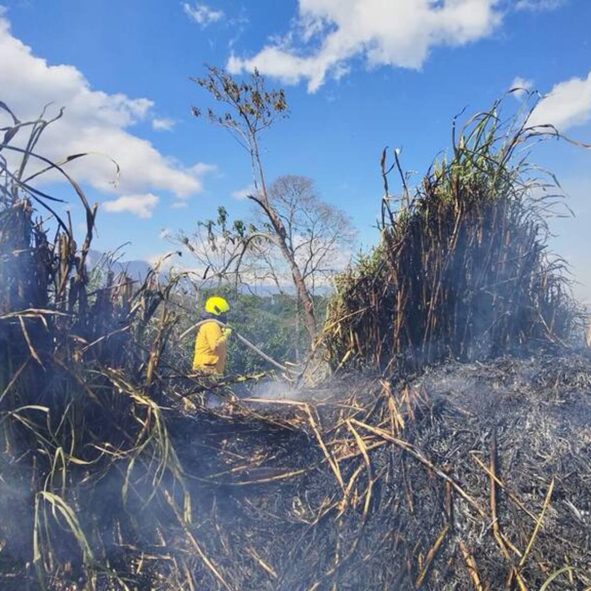 Alerta en Armenia por incendios de cobertura vegetal ante las altas temperaturas