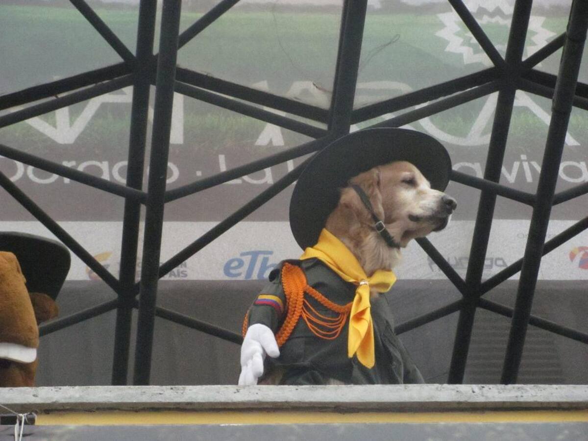 Título de la imagen