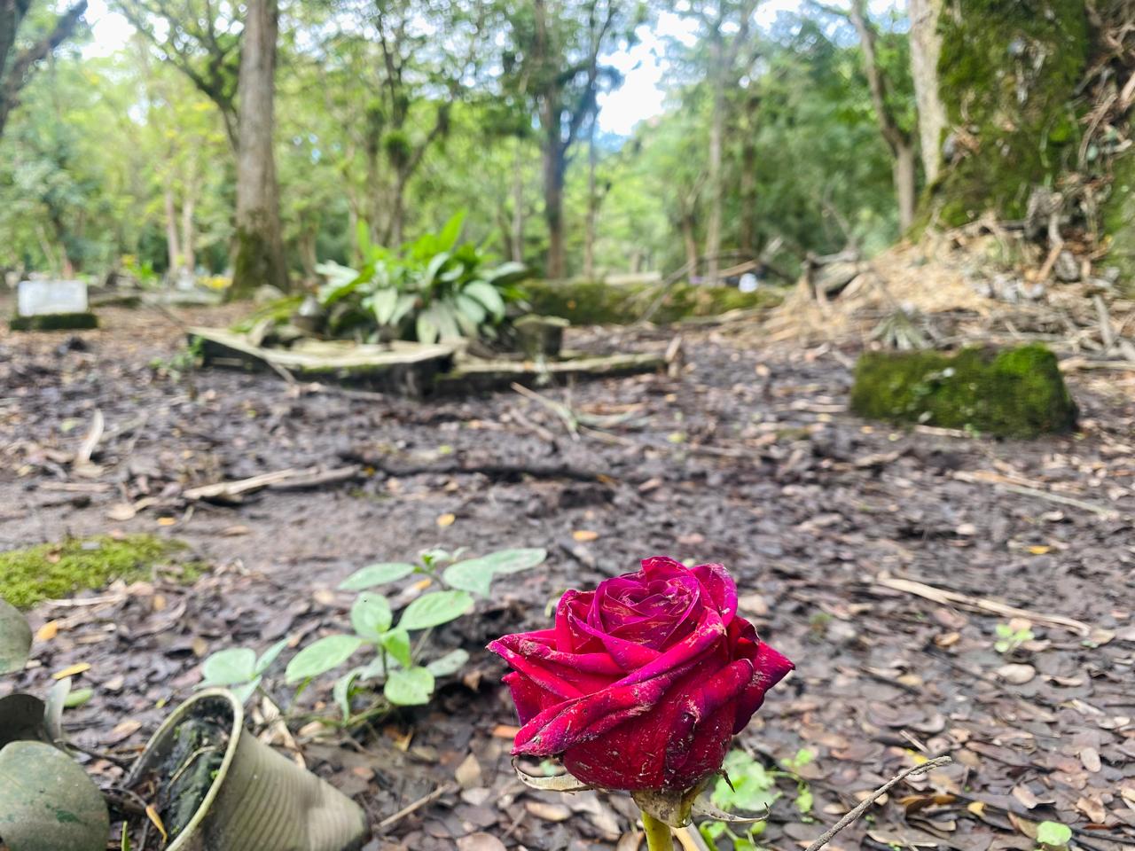 El hecho ocurreen el cementerio San Antonio  de Padua