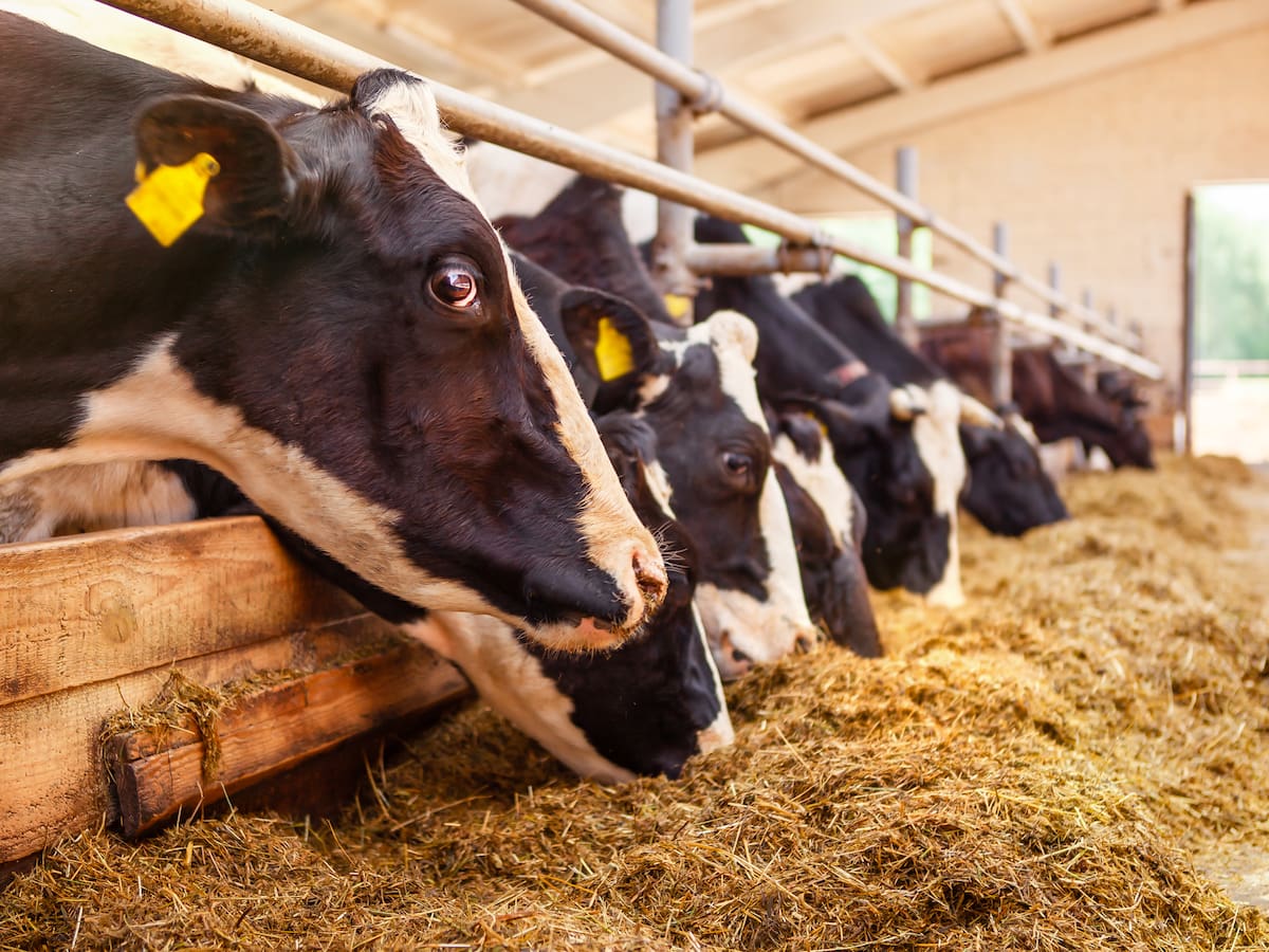 Precios mundiales de alimentos subieron por segundo mes consecutivo en abril