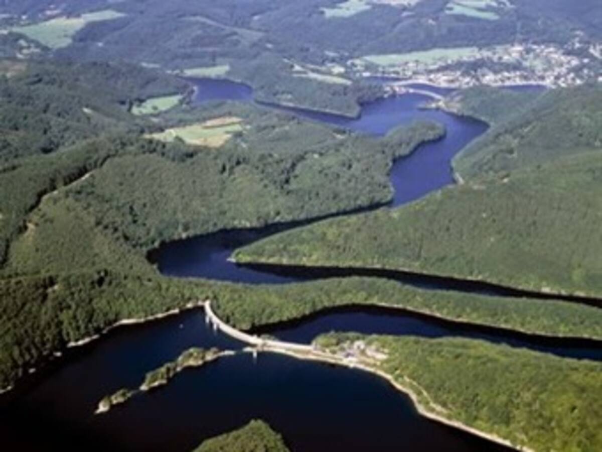 Países amazónicos comenzarán estudios de deforestación y recursos hídricos