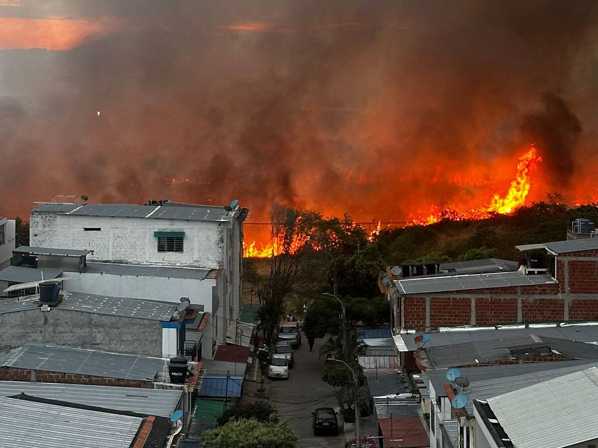 En Neiva, más de 300 hectáreas consumidas por incendios forestales en temporada seca