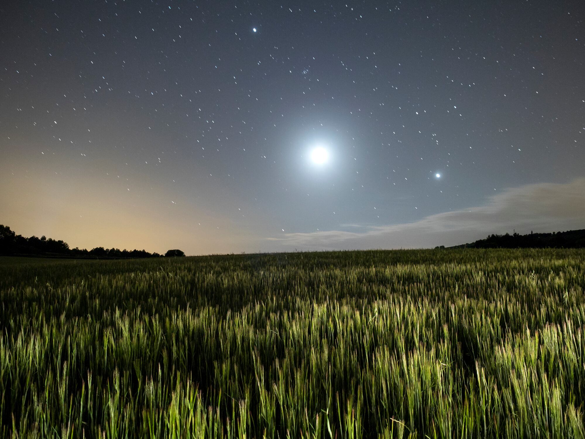 Luna llena iluminando campos de trigo en Valencia, España (Crédito: Getty Images).