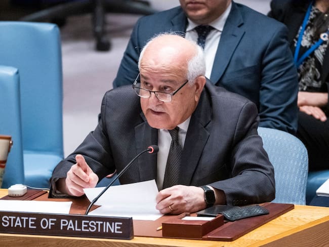 “Somos parecidos a Colombia, trataremos estos temas adecuadamente”: embajador de Palestina ante ONU