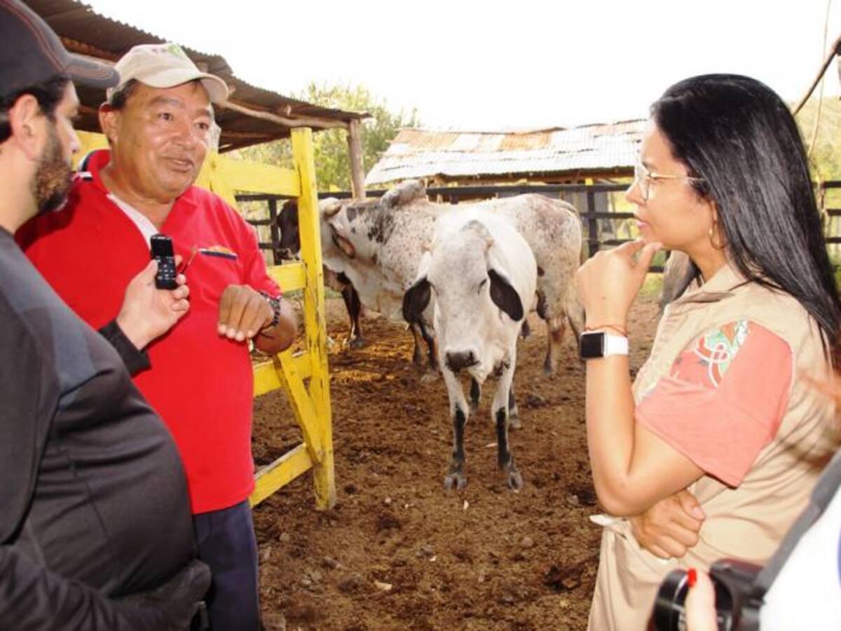 “Mi empresa es el campo”: beneficiario de restitución de tierras de Bolívar