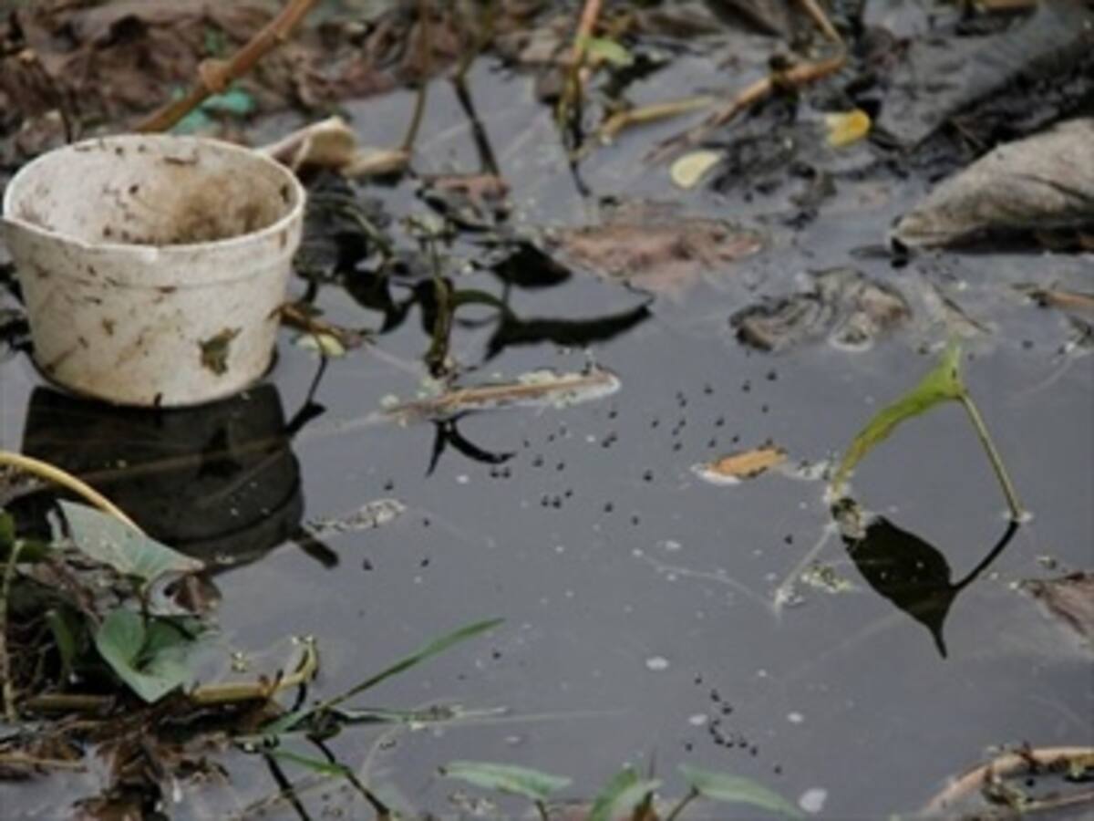Boyacá comienza hacer frente al chikungunya