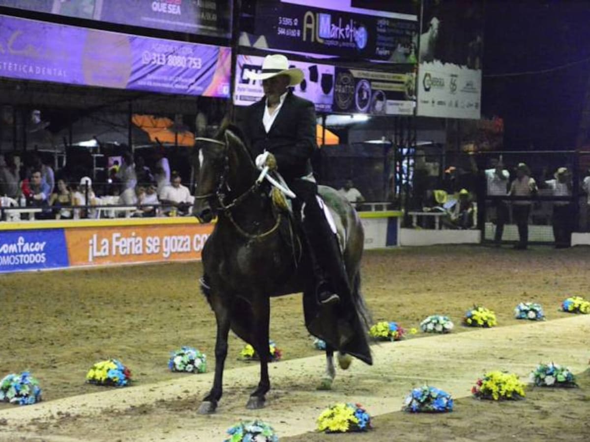 Ganadores bufalinos y equinos