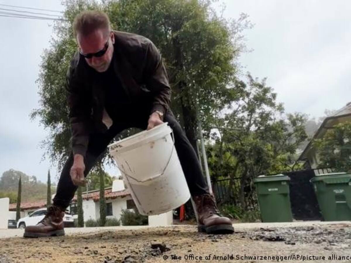 Cansado de esperar, Arnold Schwarzenegger rellena un bache en su barrio de Los Ángeles