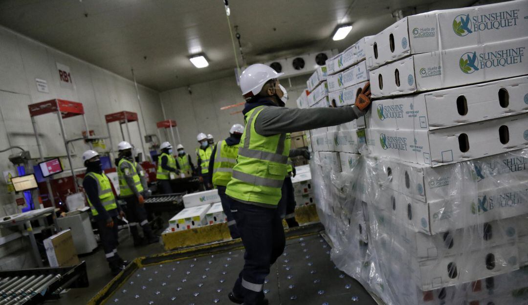 Crecimiento de la economía