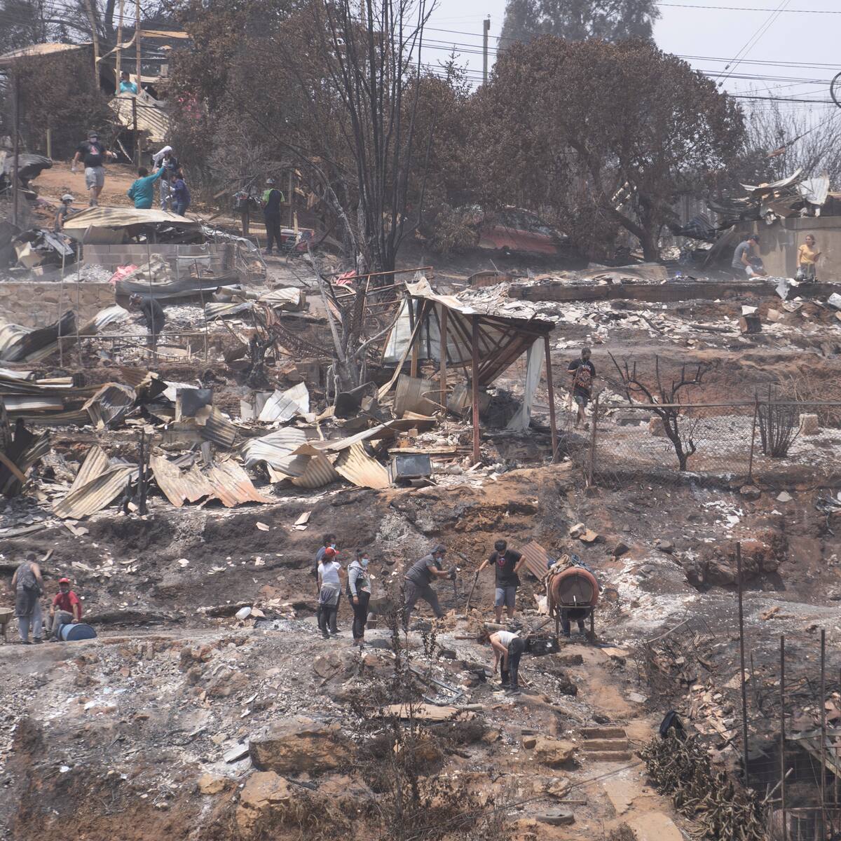 Los dos detenidos en Viña del Mar por los incendios quedan en libertad y sin cargos