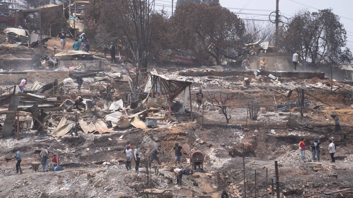 Los dos detenidos en Viña del Mar por los incendios quedan en libertad y sin cargos