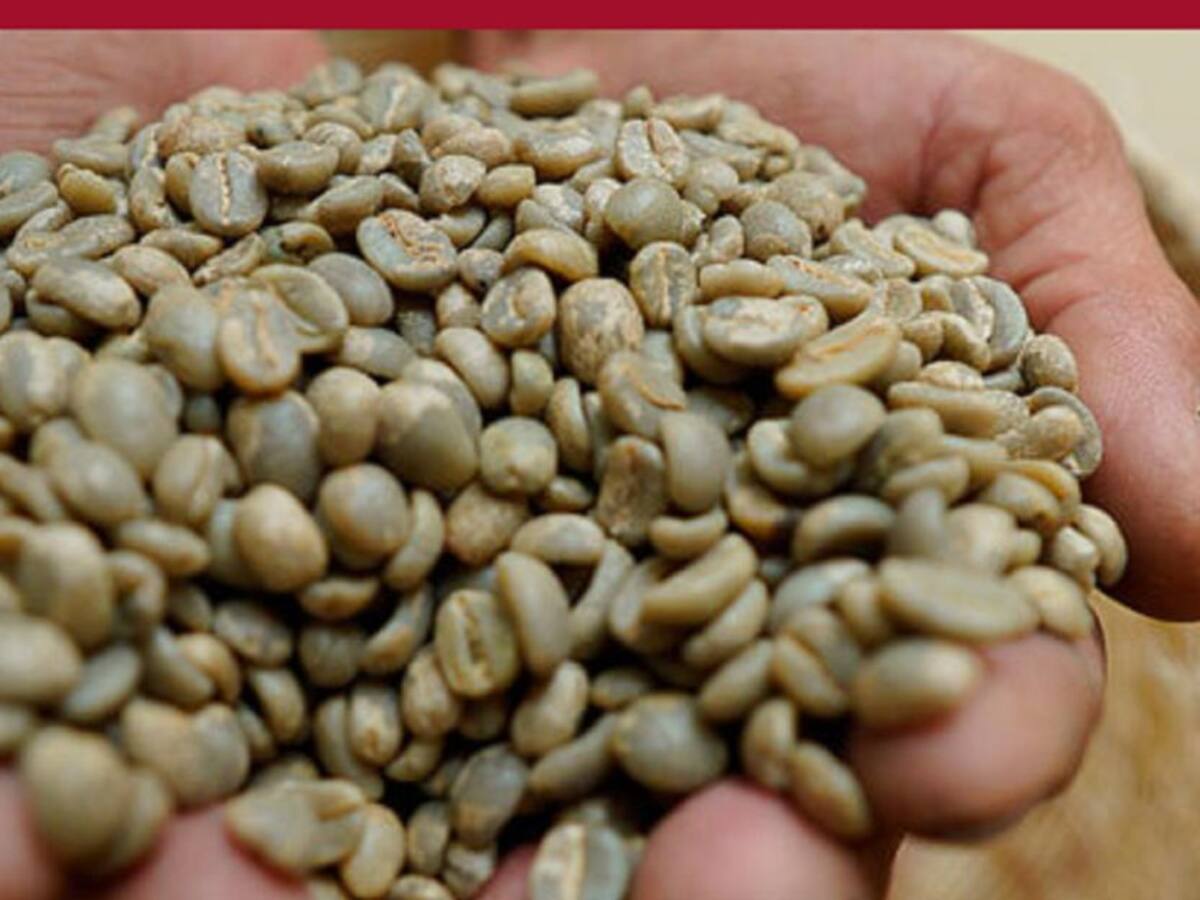 La reapertura de vías no termina el viacrucis de los cafeteros