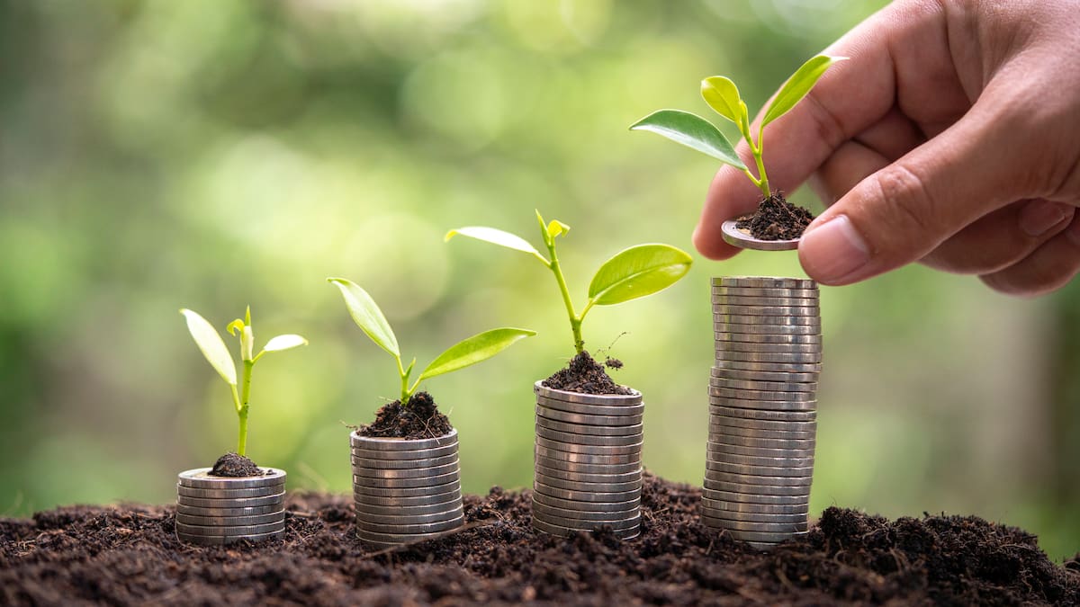 La vitrina ambiental de negocios verdes que une a los Santanderes