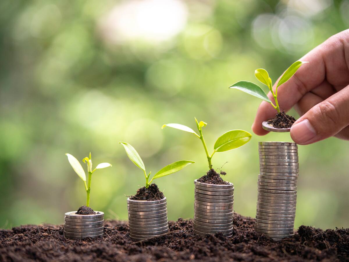 La vitrina ambiental de negocios verdes que une a los Santanderes