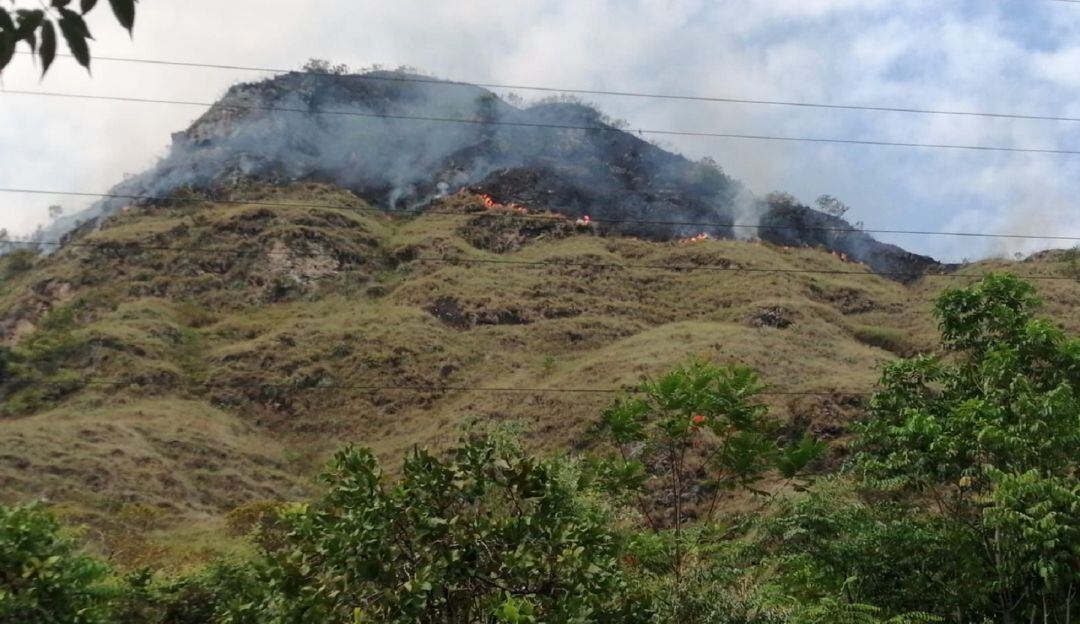Altas temperaturas aumentan los incendios forestales en el Tolima