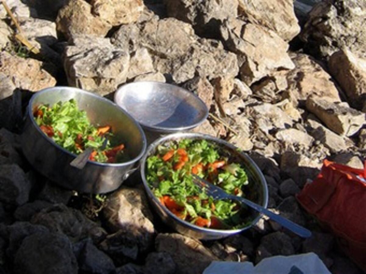 Ciudadanos podrían padecer cáncer, si consumen verduras regadas con agua del Río Bogotá