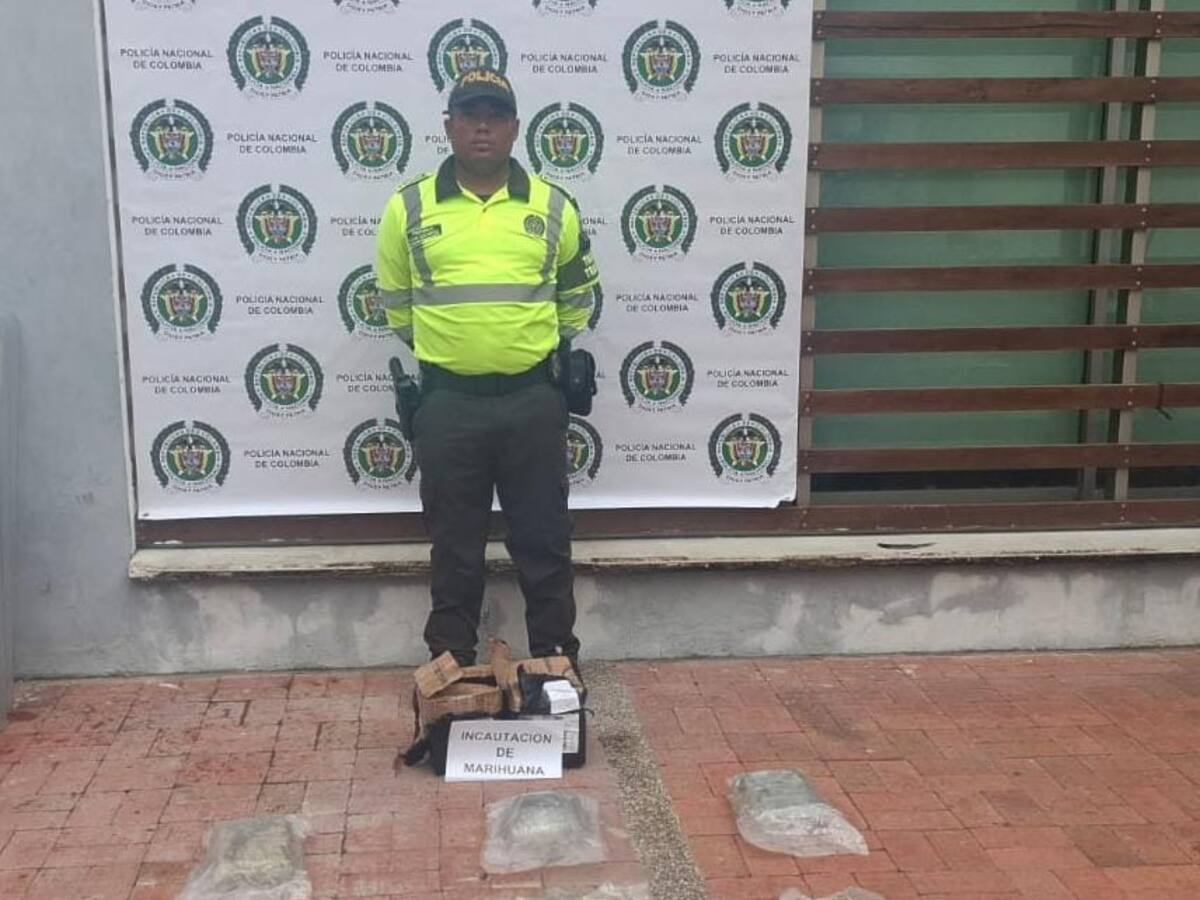 Incautaron seis kilos de marihuana camuflados en una encomienda que iba para Cartagena