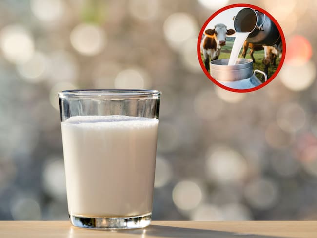 Vaso de leche junto a una persona que está en el campo (Fotos vía Getty Images)
