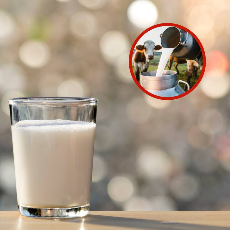 Vaso de leche junto a una persona que está en el campo (Fotos vía Getty Images)
