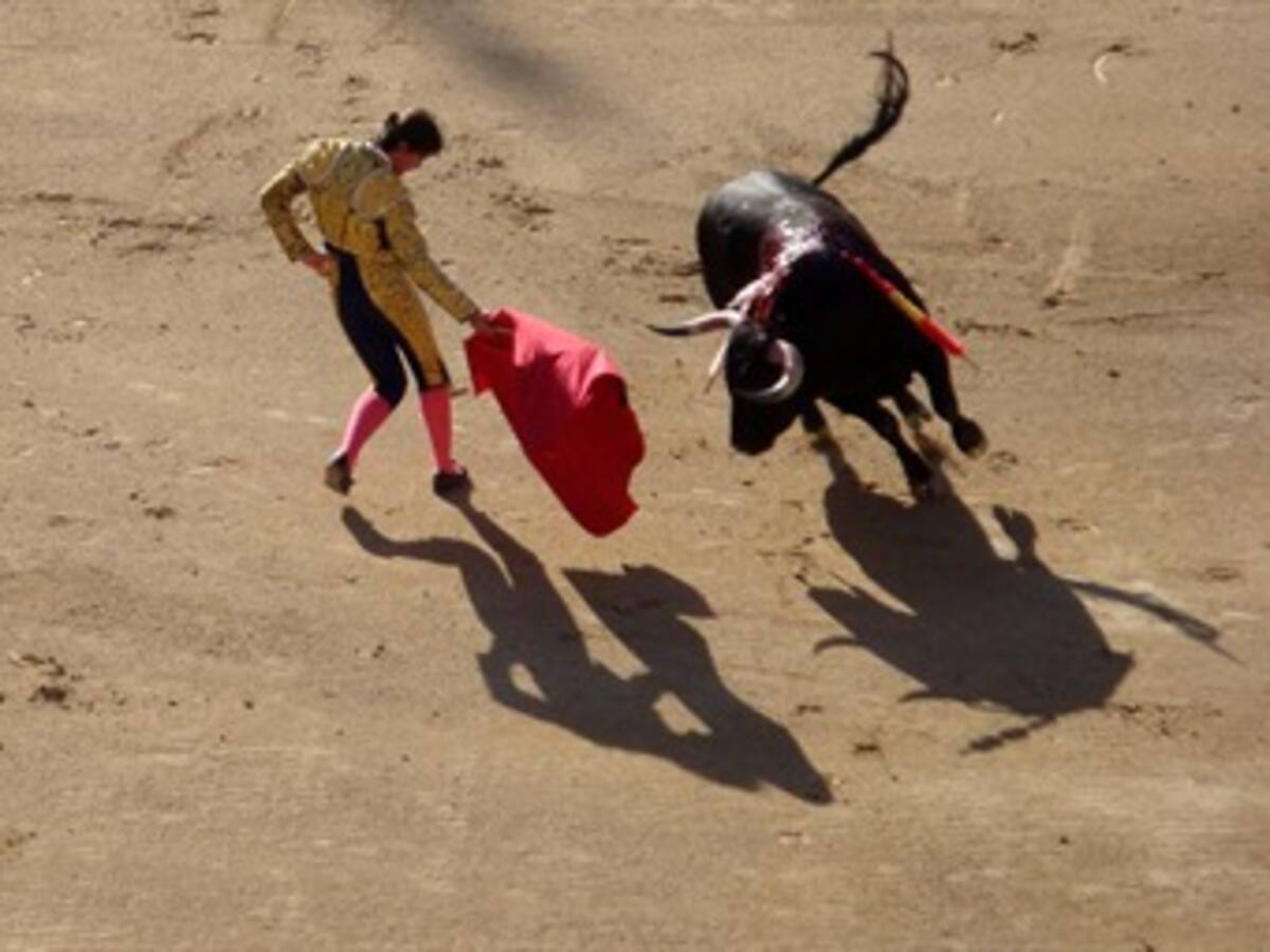 ETB y Codensa no patrocinarán corridas de toros: Petro