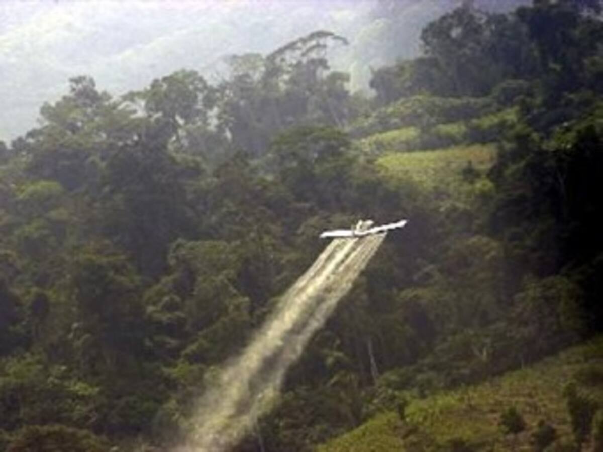 Estudio revela que fumigaciones colombianas habrían causado daños genéticos en Ecuador
