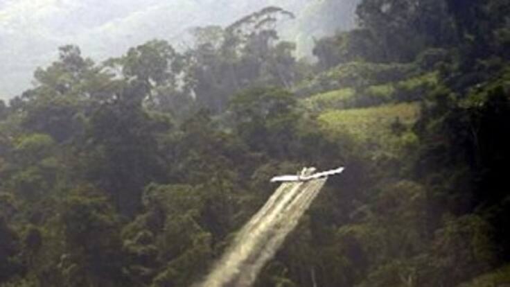 Estudio revela que fumigaciones colombianas habrían causado daños genéticos en Ecuador