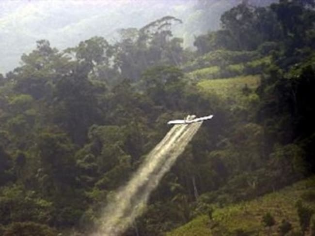Estudio revela que fumigaciones colombianas habrían causado daños genéticos en Ecuador