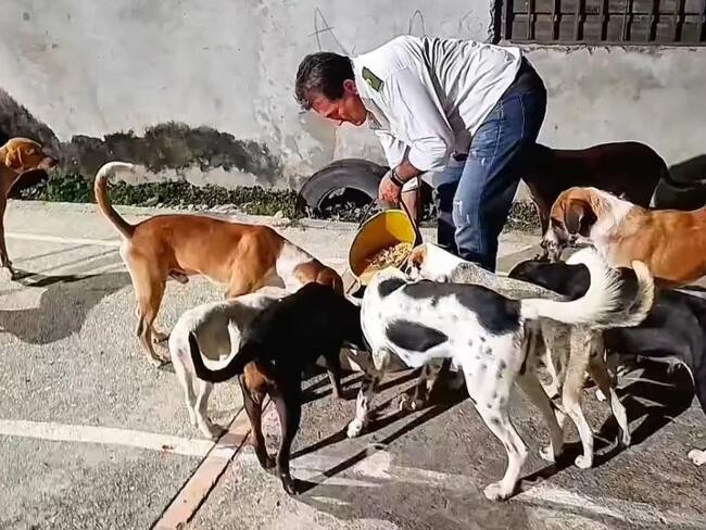 Misael González, conductor Lusitania