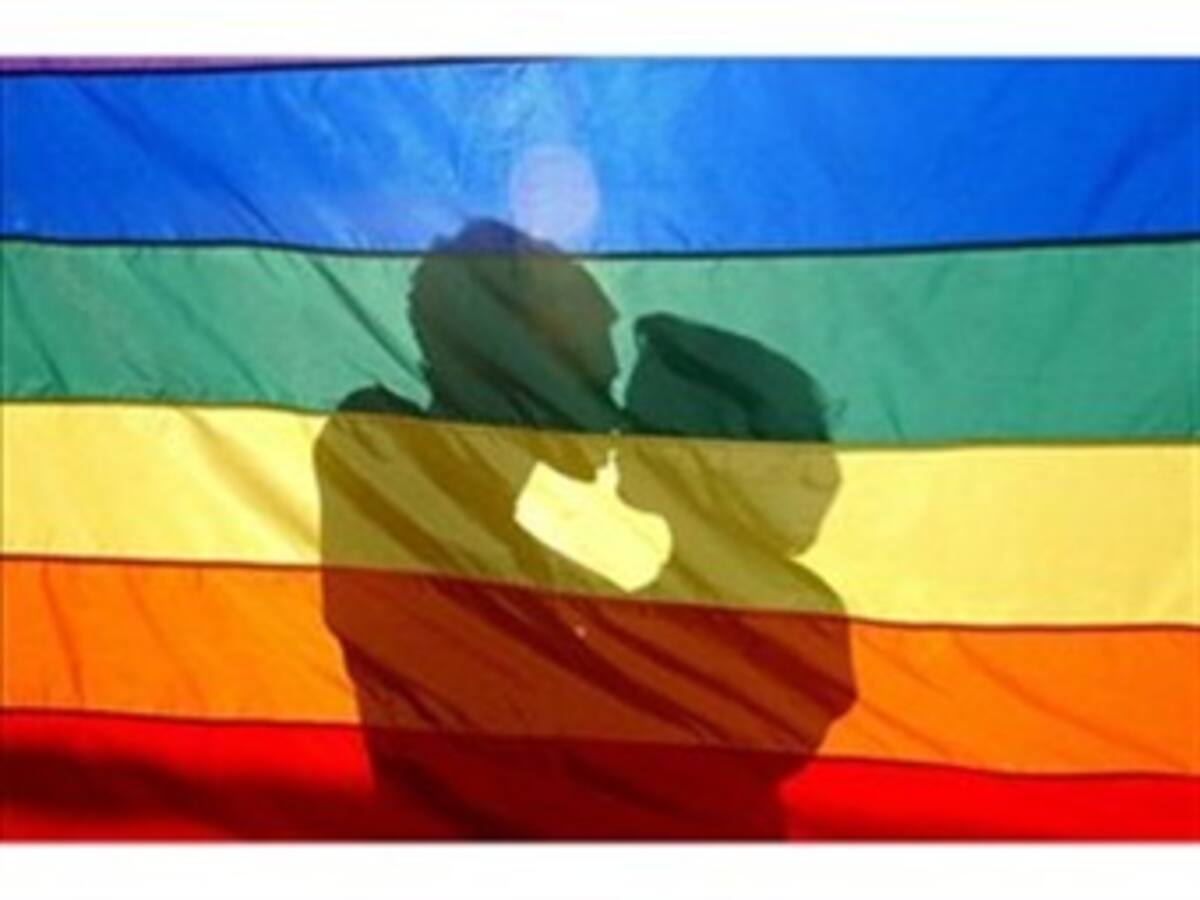 Proyectos sobre uniones homosexuales no se han tramitado en la Cámara
