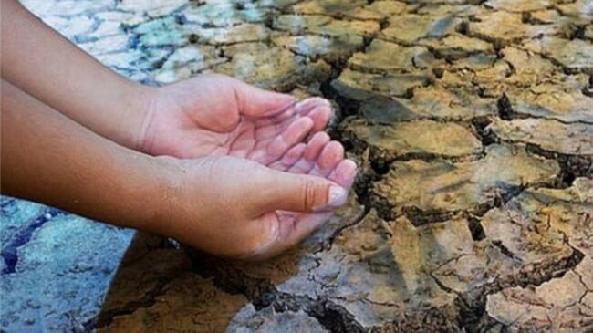 Simplemente no hay suficiente agua. Foto: BBC Mundo