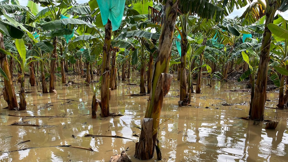 1.200 familias afectadas dejan las emergencias por lluvias en al menos cuatro municipios del Urabá