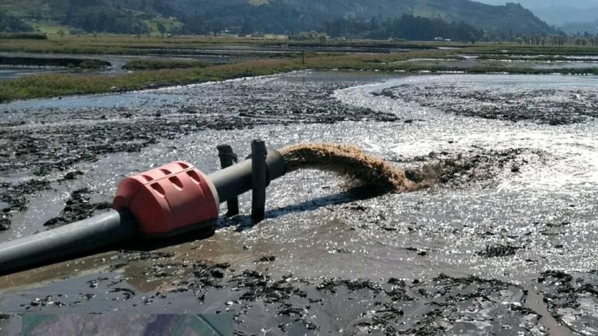 Más de 3.000 m³ de sedimentos son extraídos al día de la laguna Fúquene
