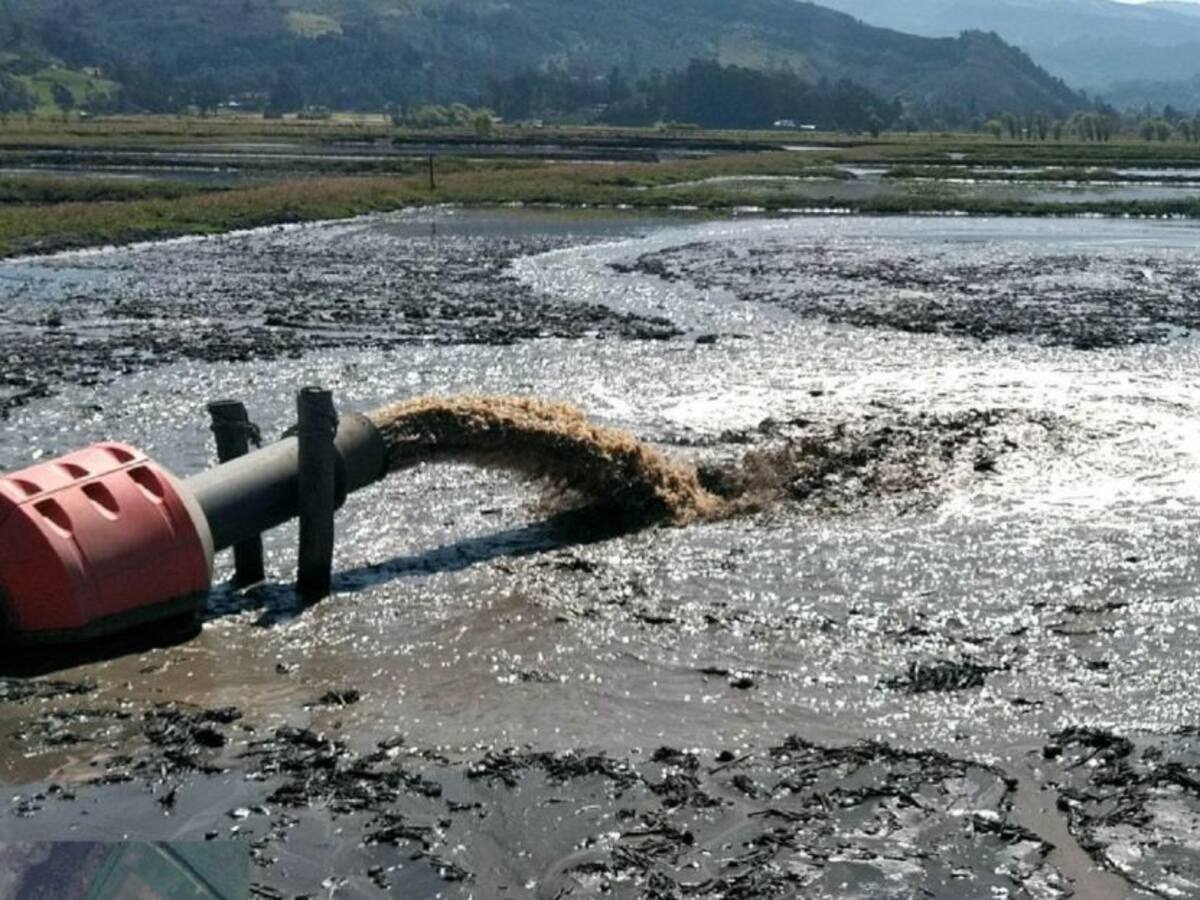 Más de 3.000 m³ de sedimentos son extraídos al día de la laguna Fúquene