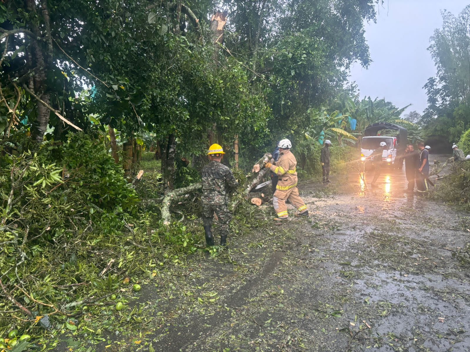 Pelotón de emergencias del Ejército ayuda en la remoción de árbol.Foto: Archivo Caracol Radio Armenia