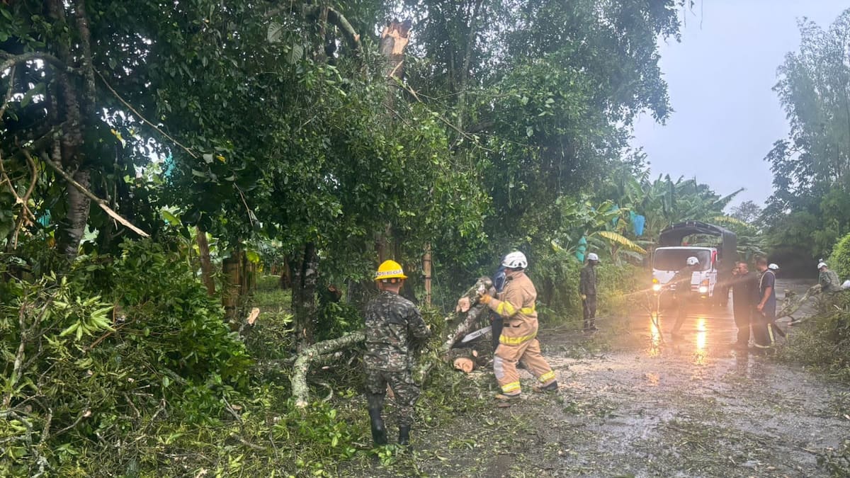 El Ejército está dispuesto para apoyar las emergencias por lluvias en el Eje Cafetero