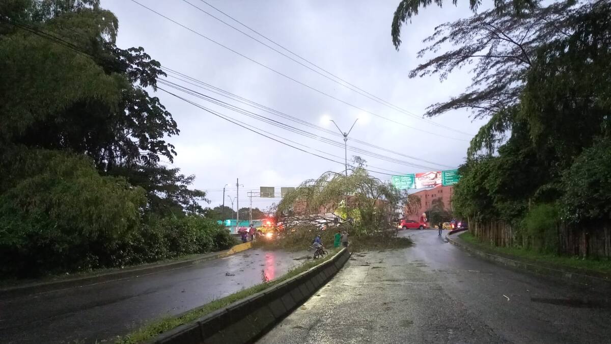 Informe lluvias en Quindío