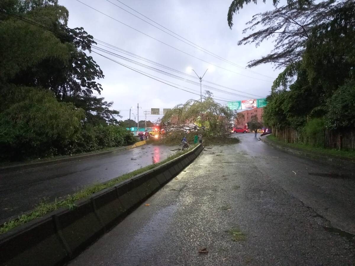 Caída de árboles e inundaciones por fuertes lluvias en Armenia