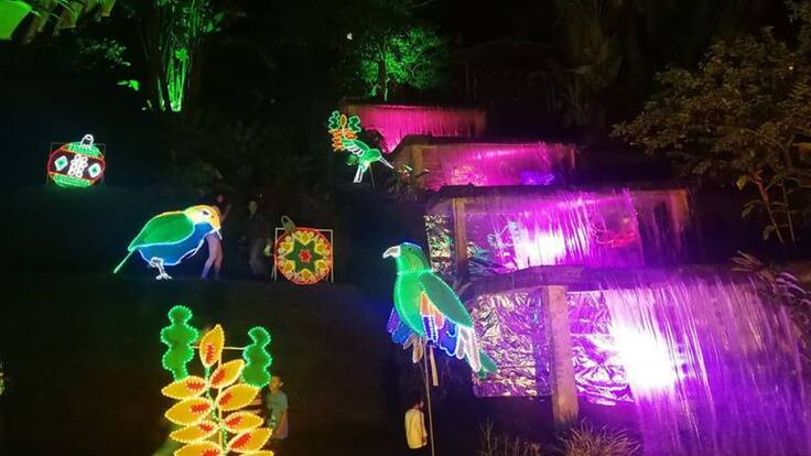 50.000 Visitantes se esperan en alumbrado del Parque de la Vida en Armenia