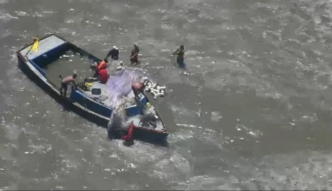 Embarcación afectada 