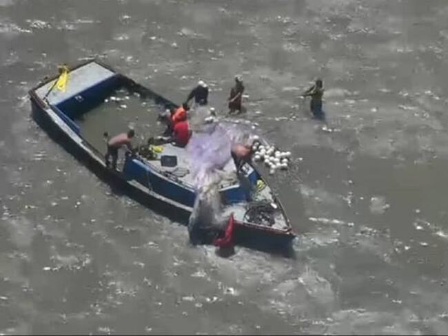 Embarcación afectada