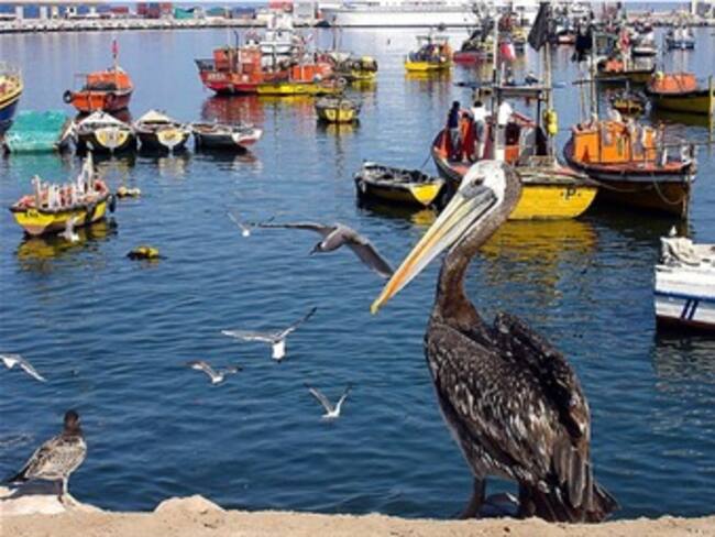 Agonizan los recursos pesqueros de Colombia