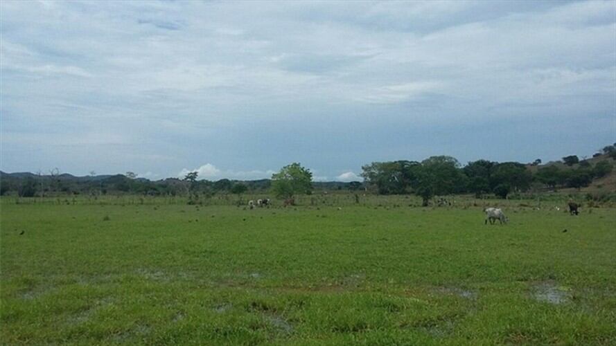 Imagen de referencia. Foto: Colprensa