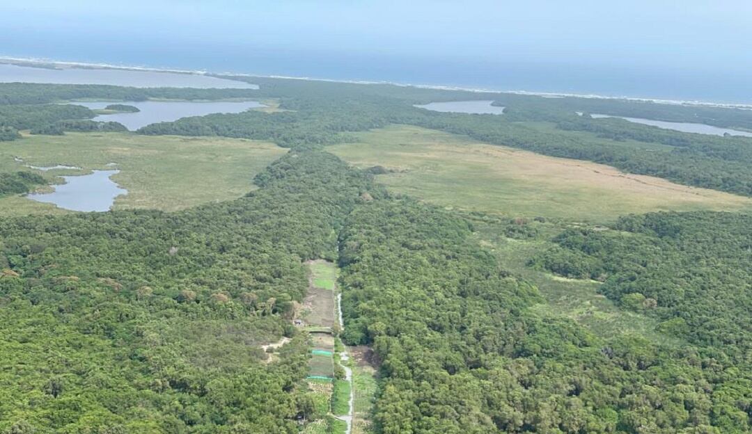 Parque Isla Salamanca