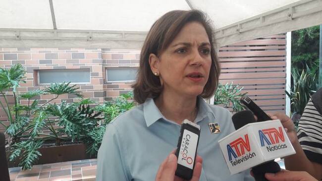 María del Rosario Guerra, Senadora del Centro Democrático.