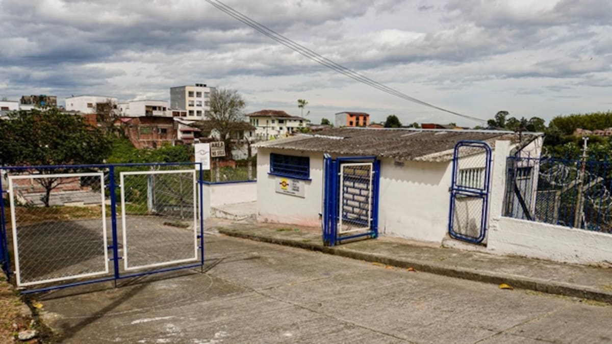 Gerente de Proyecta Quindío