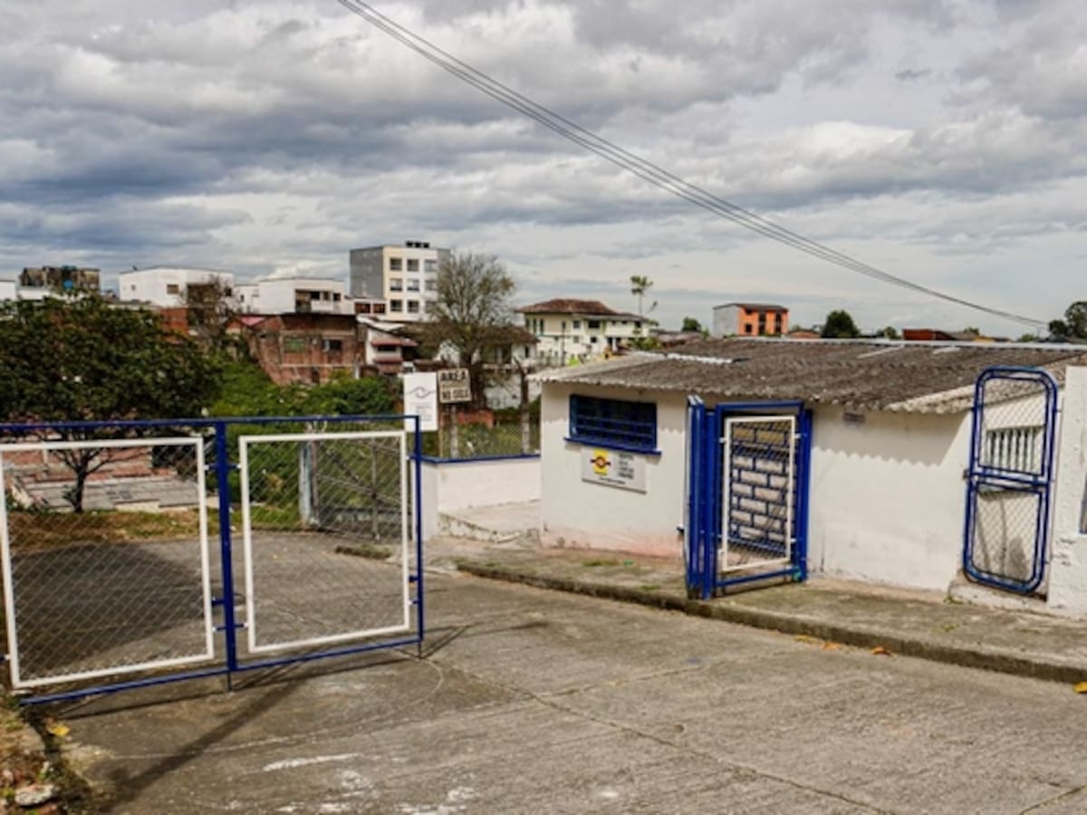 Gerente de Proyecta Quindío