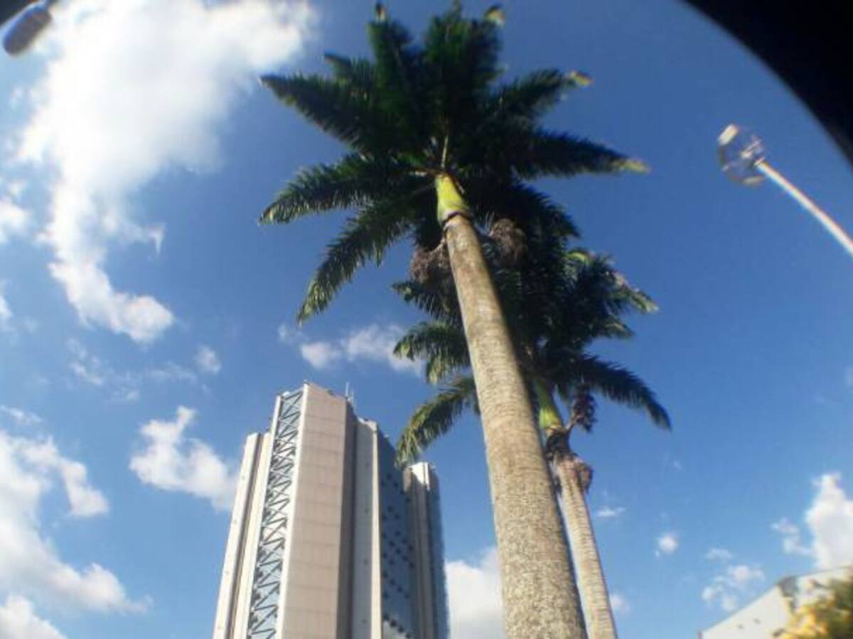 Lunes 5 de febrero, las noticias más importantes de Armenia y Quindío