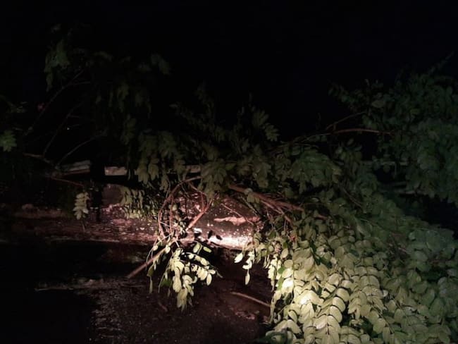Fuertes vientos y lluvias dejan casas y vías afectadas en Caicedonia